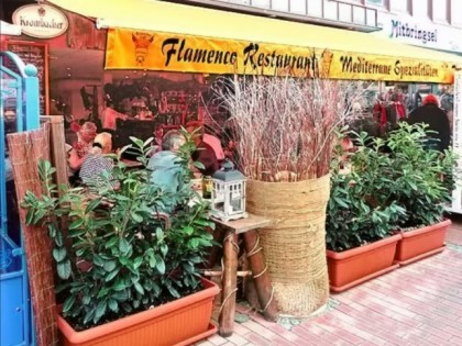 照片: Flamenco